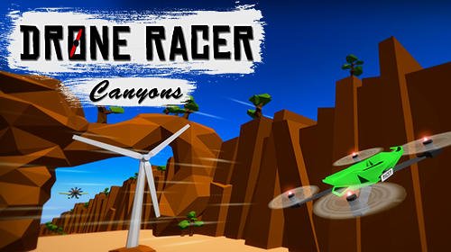 download Drone racer: Canyons apk